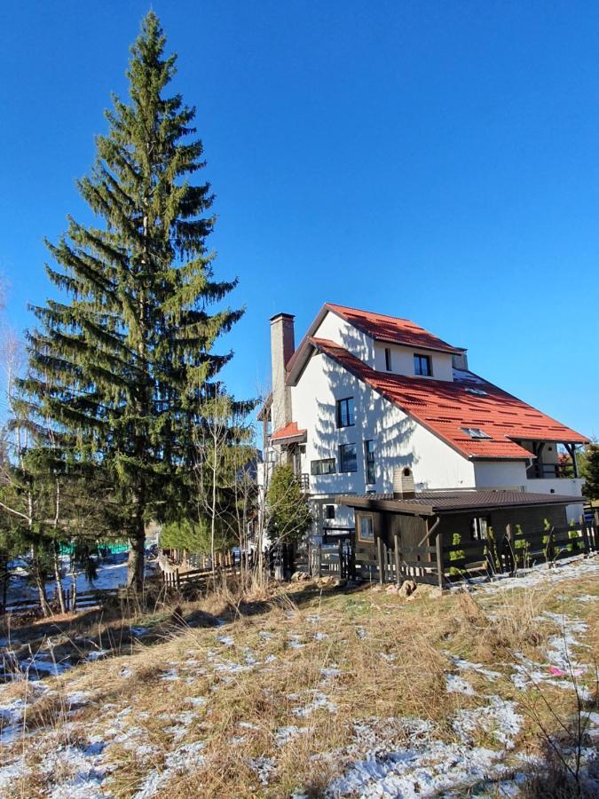 Vila Berlin Hotel Poiana Brasov Exterior foto